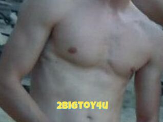 2bigtoy4u