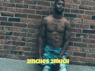 2inches_2much