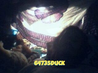 64735duck