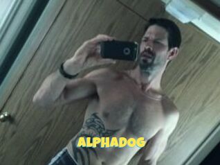 ALPHADOG
