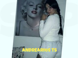 ANDREARIOS_TS