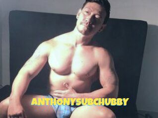 ANTHONYSUBCHUBBY