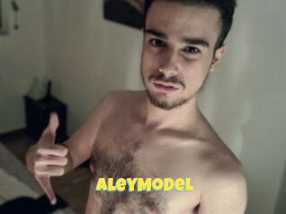AleyModel