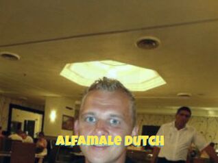 Alfamale_Dutch