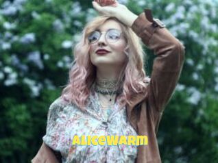 AliceWarm