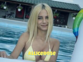 AlliceRose