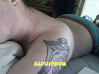 Alphie_Dog