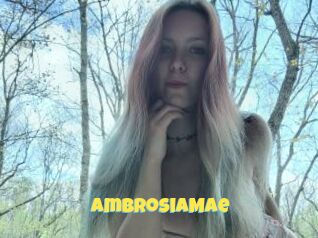 AmbrosiaMae