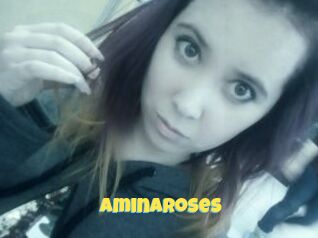 AminaRoses Sexe et Porno