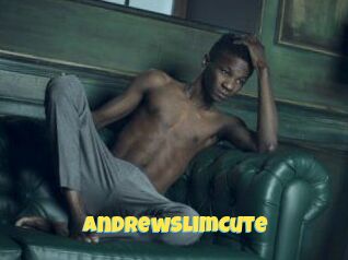 AndrewSlimCute