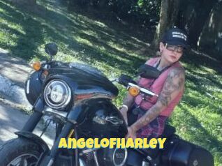 AngelofHarley