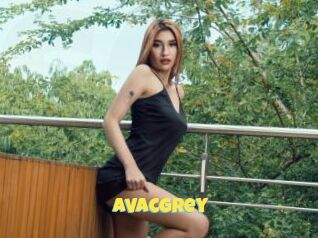 AvacGrey