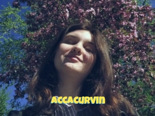 Accacurvin