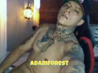 Adamforest