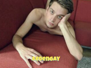 Aedengay
