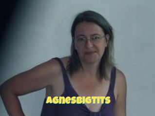 Agnesbigtits