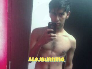 Alejburning