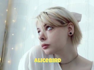 Alicebird