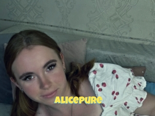 Alicepure