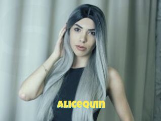 Alicequin