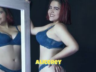 Alicerey
