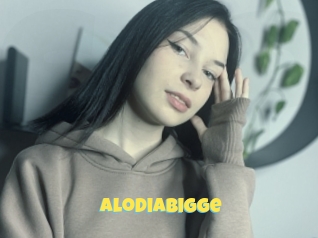 Alodiabigge