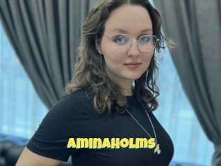 Aminaholms
