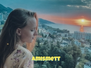 Amismett