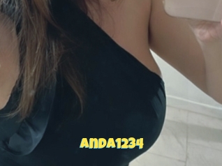 Anda1234