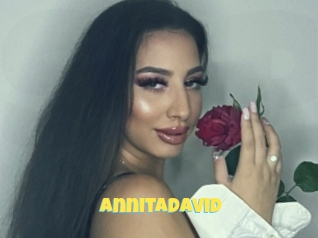 Annitadavid