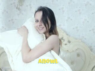 Anowl