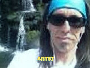 Ant67