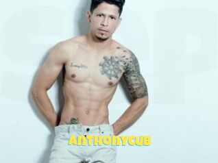 Anthonycub
