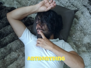 Anthonyding