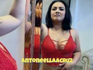 Antoneellaacruz