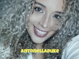 Antonelladuke