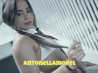 Antonellamorel