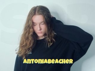 Antoniabeacher