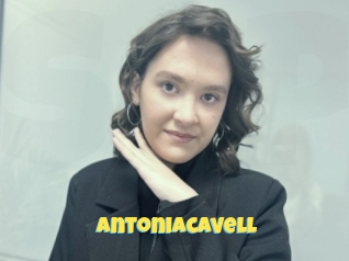 Antoniacavell