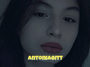 Antoniagitt