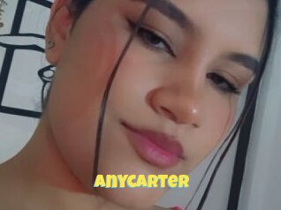 Anycarter