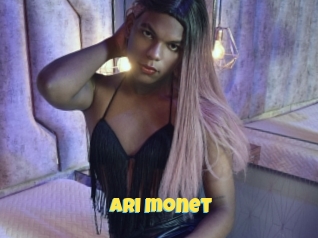 Ari_monet
