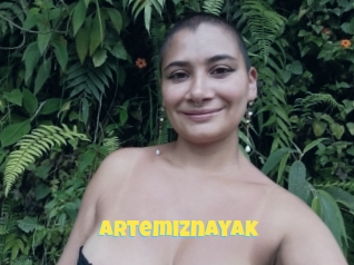 Artemiznayak
