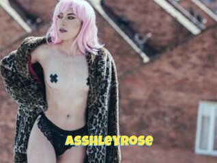 Asshleyrose
