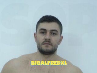BIGALFREDXL