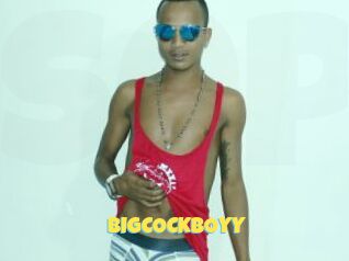BIGCOCKBOYY