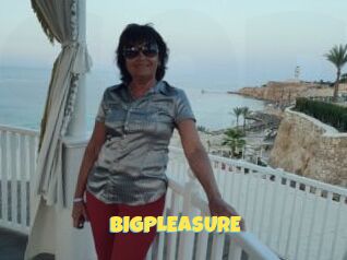 BIGPLEASURE