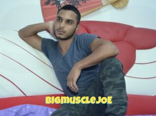 BIGmuscleJOE