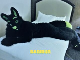 BaniBun