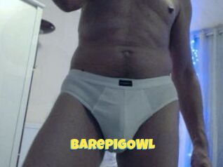 BarepigOWL